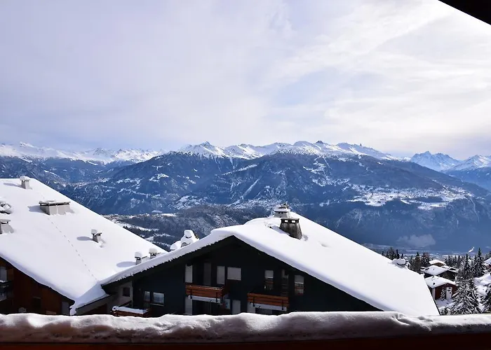 Des Masques アンゼール