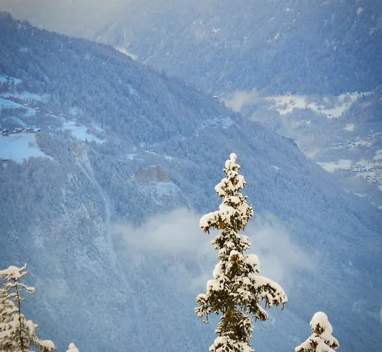 Hotel Des Masques 3*